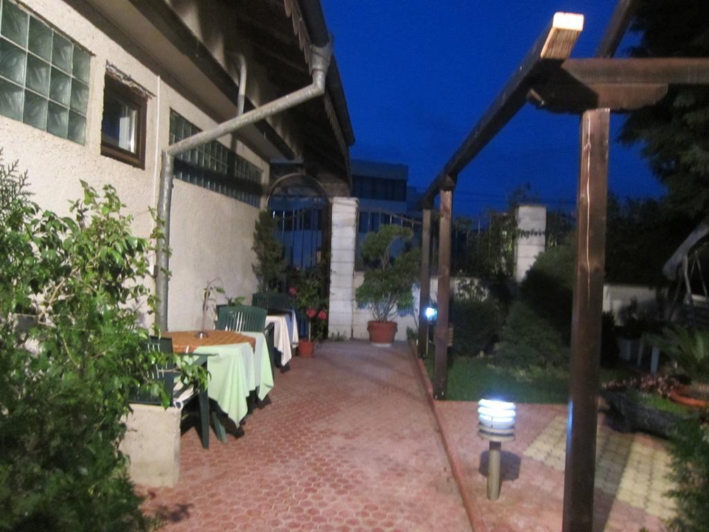 Delphini Βάρνα